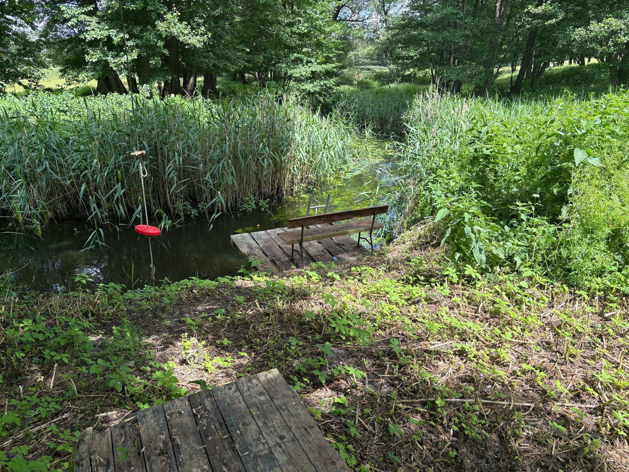 Fluss beim Actioncamp